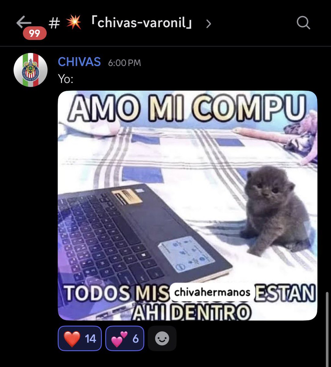 Talarangel's tweet photo. el CM del server de chivas envió la foto q le mande omg 😭🙏 https://t.co/X7ZILoaavt