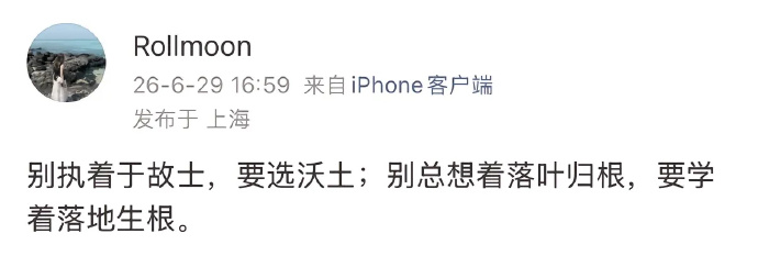 小C哈哈哈 tweet media