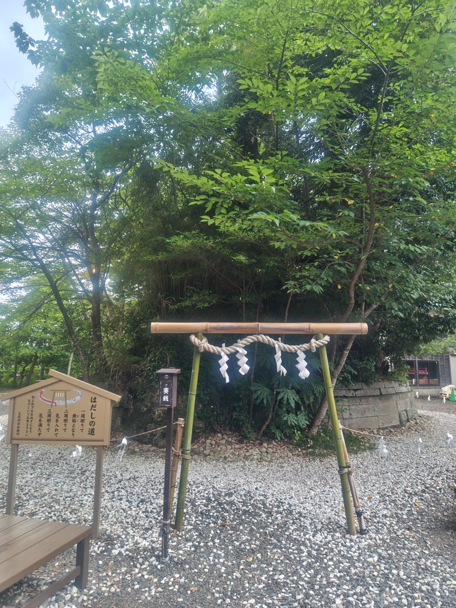 nil_plus tweet picture