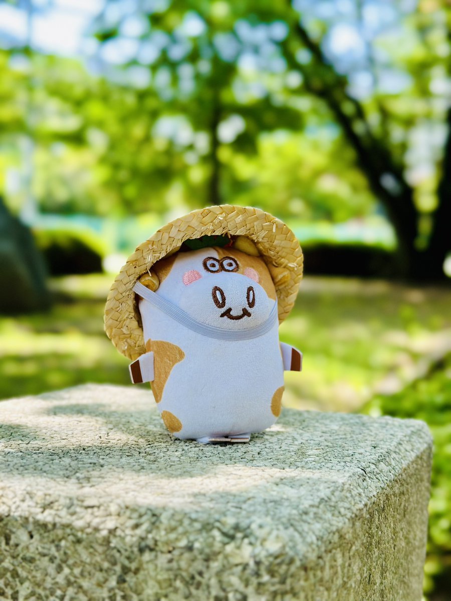 yamayoshiseika's tweet photo. おはビーフ🐮🥔
今日みたいな暑い日は日陰でマイナスイオンを浴びまくりましょう！水分補給も忘れずに👍塩分はわさビーフでチャージ！今日もよろしくビーフ🐮！ https://t.co/0G8h0S4NZe