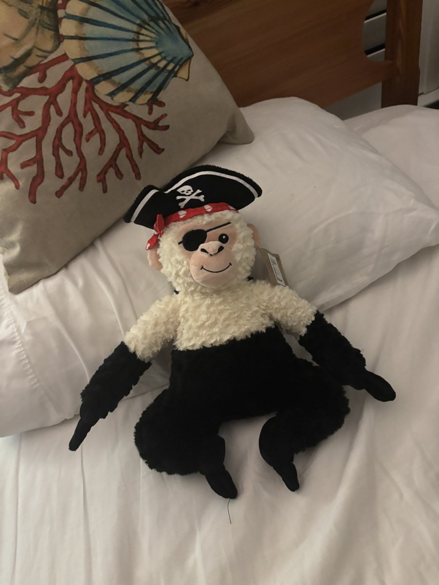 fitzhoneyed's tweet photo. PIRATE MONKY !!!!!!! https://t.co/P2C2PhZuoA
