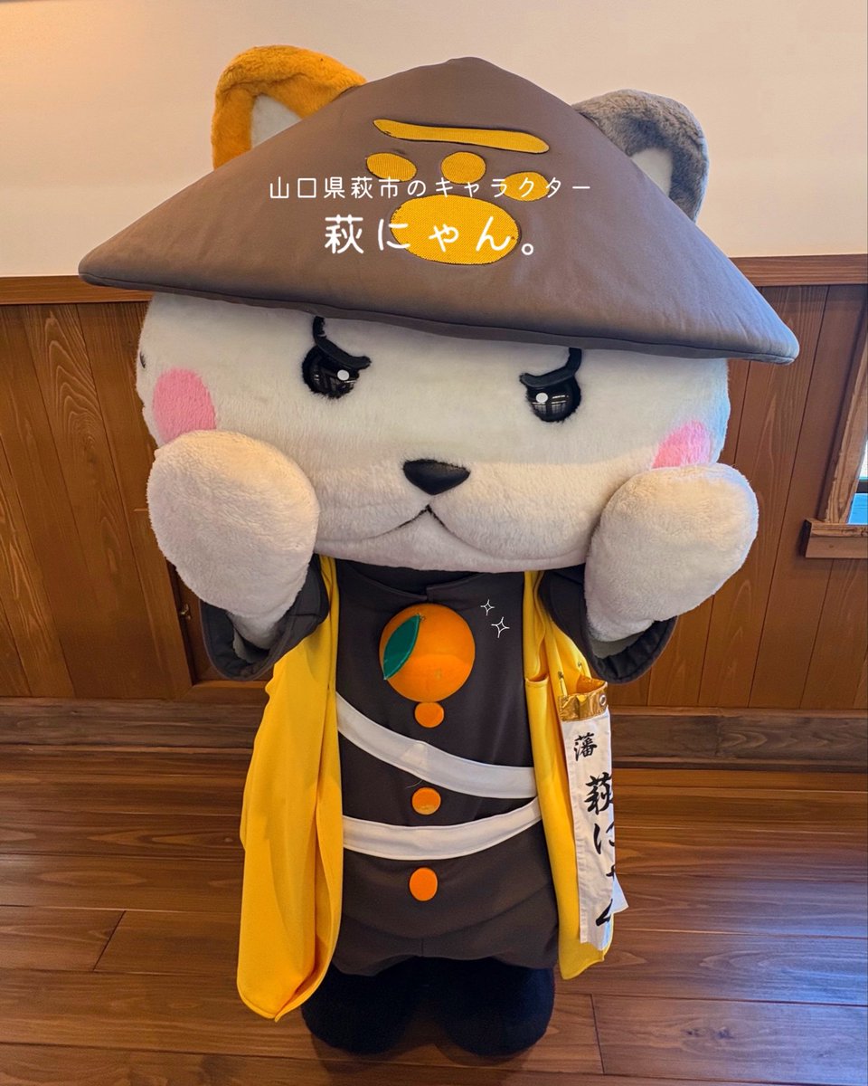 hagi_burari's tweet photo. 萩市のキャラクターは？💭
 
全国に萩の魅力を発信すべく頑張っている、#萩にゃん。です！
あこがれの人は高杉晋作で、奇兵隊の隊服を着用しています。
これからも仲良くしてください！
HPでは、萩にゃん。のプロフィールや登場スケジュールをご紹介しています😸🍊

#山口県　#萩市　#萩旅 https://t.co/PvGGtIzgqp