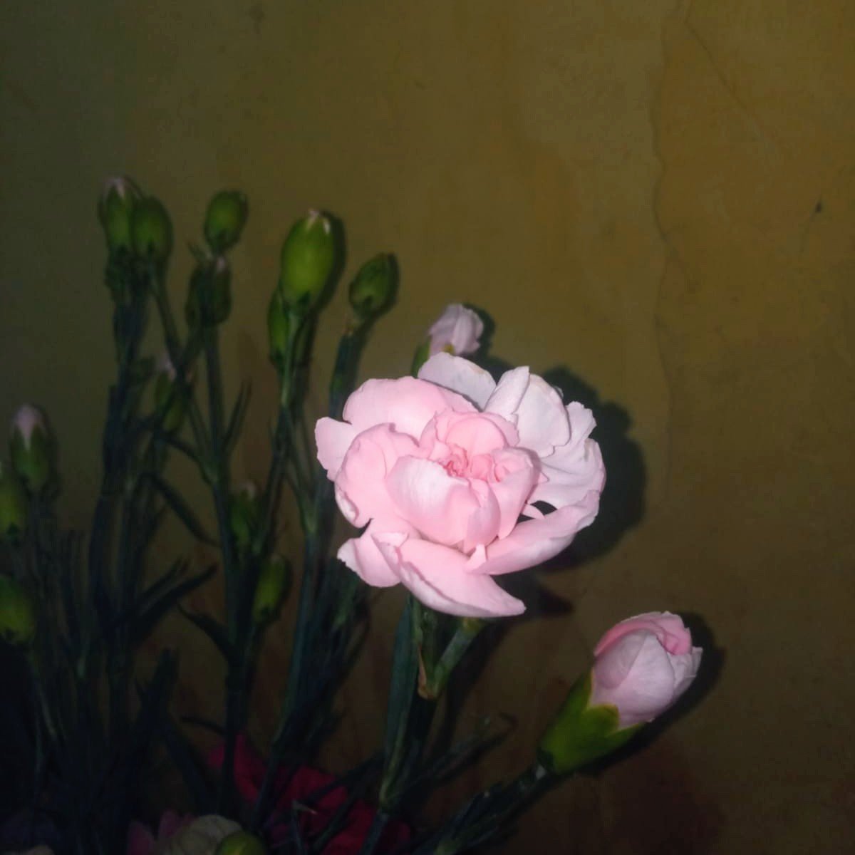 projectactivits tweet picture