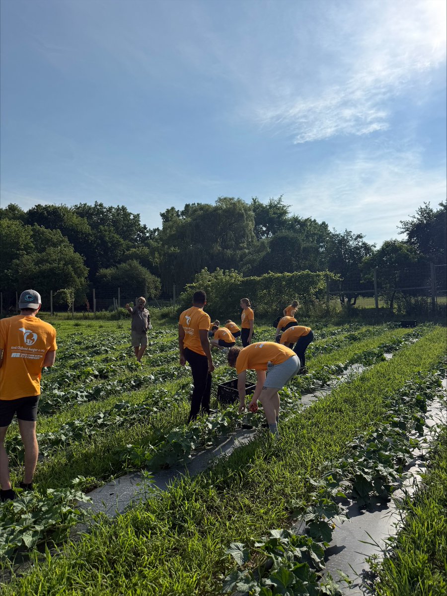 mifarmbureauins's tweet photo. A special shout out to the Michigan Farm Bureau Family of Companies interns who helped in our mission to fight childhood hunger by volunteering their time at Kids' Food Basket today 🧺🍎👏 https://t.co/apvsLfUAoF
