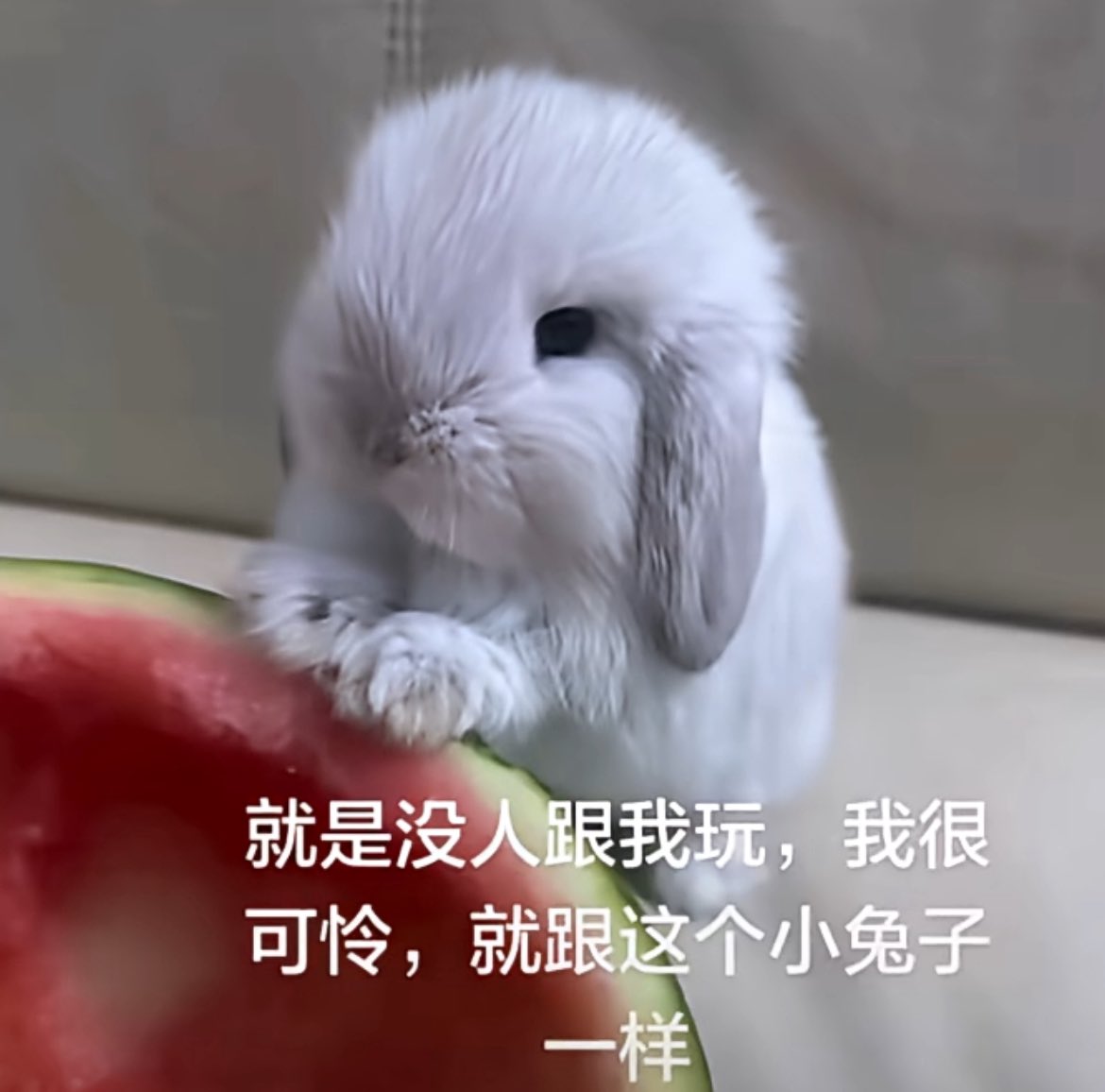 LingRyuoi1's tweet photo. https://t.co/SpG9b7psMR