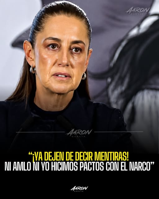 GARCIPAVON's tweet photo. No Sra, la mentirosa y corrupta es usted, @Claudiashein, ante los ojos de todos nosotros. Llegaron al poder con ayuda del CO, si no fuera así, no estaría protegiendo a tanto n@rco político, no sea mitómana 🤥 ¡Ahora resulta! 🤦‍♀️😏