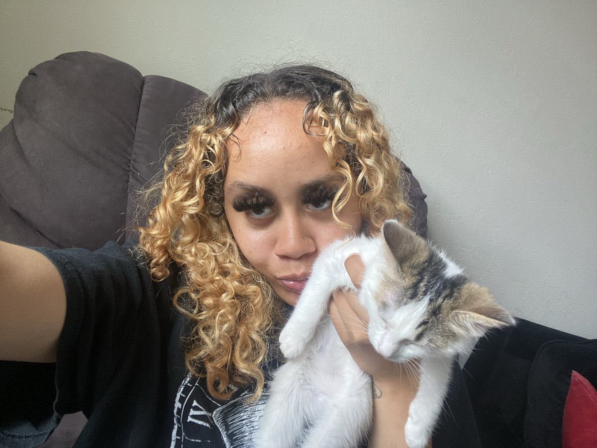 _arabgal's tweet photo. love animals:) #fyp #kittens #seattle https://t.co/CVSN2u9oyO
