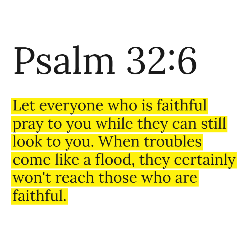 Holy Bible tweet media