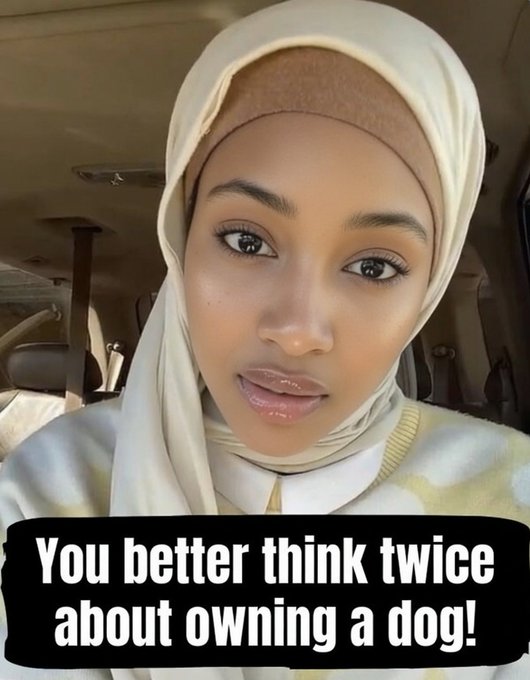 Anti Woke Memes tweet media