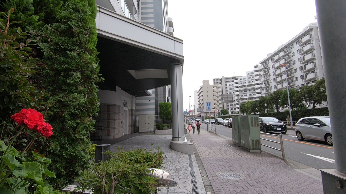 shownankikou's tweet photo. 再掲、藤沢市南藤沢にある集合住宅前で咲いていた赤い花
#湘南 #藤沢 #花 https://t.co/jiPLyBh86h