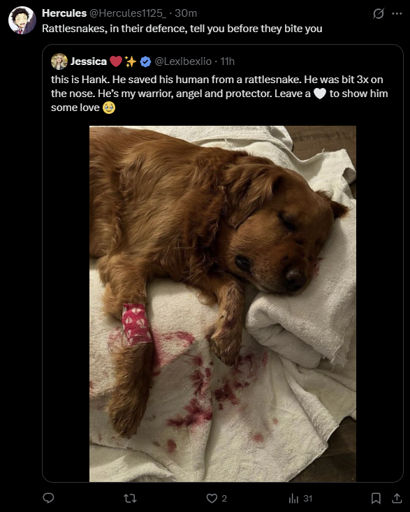marinSimp69366's tweet photo. i understand why this guy only shits on mushoku tensei it makes him feel better about himself if he ever did that to....i dont know... a dying animal he would look like the retarded clown he is https://t.co/gRK49wuCUj