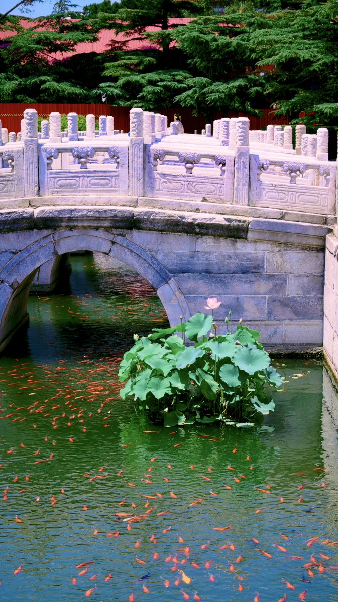 VisitBeijingcn's tweet photo. Located along the Beijing Central Axis, Taimiao (The Imperial Ancestral Temple) stands as a magnificent landmark of traditional Chinese architecture, with grand halls, elegant courtyards, and a legacy of cultural heritage spanning centuries. https://t.co/xPg7MgIpyx