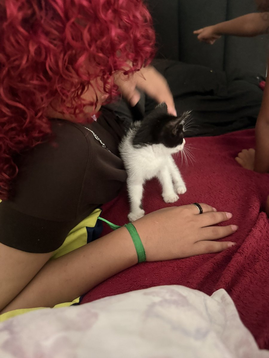 oonmyblock's tweet photo. 1 mês ficando, adotamos nosso primeiro filho e batizamos com nossas iniciais
agora o bilu já ta pré adolescente e já ta querendo beijar umas gatinhas por ai… https://t.co/RtL1MiHCq8