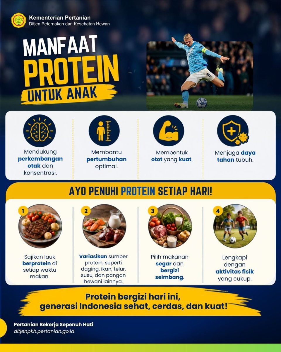 ditjen_pkh's tweet photo. #SobatTernak, Mau tumbuh kuat dan sehat seperti Erling Haaland?  Performa atlet dunia didukung latihan disiplin dan asupan protein berkualitas setiap hari.

Meski kebutuhan gizi atlet berbeda dengan anak, kebiasaan mengonsumsi protein dari daging, ikan, telur, susu, dan pangan hewani lainnya bisa menjadi inspirasi untuk mendukung tumbuh kembang yang sehat, cerdas, dan kuat.

Yuk, penuhi kebutuhan protein setiap hari sebagai bagian dari pola makan bergizi seimbang.

#KementanRI #KitaMulaiCaraBaru #ErlingHaaland #PertanianBikinBangga