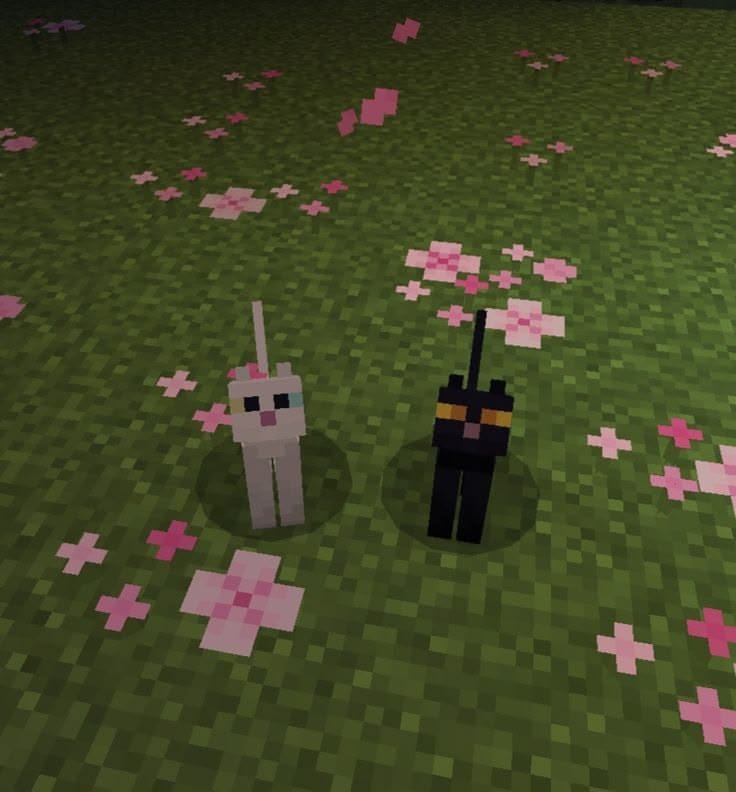 stsgmarried's tweet photo. thread of mc screenshots/moments of milly's 2026 server 💪✨️ https://t.co/fmEQxtl6jX