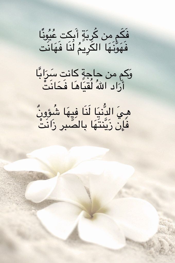 VelvetRain10's tweet photo. #طَيَّبَ_اللهُ_البقاء_عَمَّرَ_اللهُ_الْأَثَر
#وَرْدٌّ https://t.co/CJZp3PEwEV
