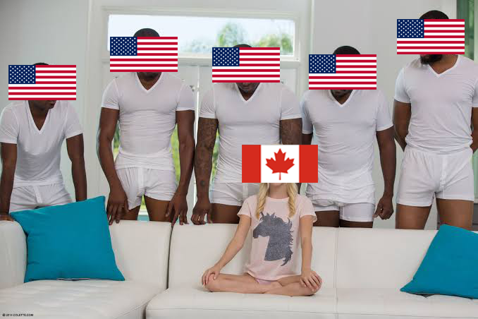 ptree 🇨🇦 tweet media