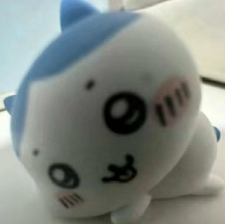 닥터트루 tweet media