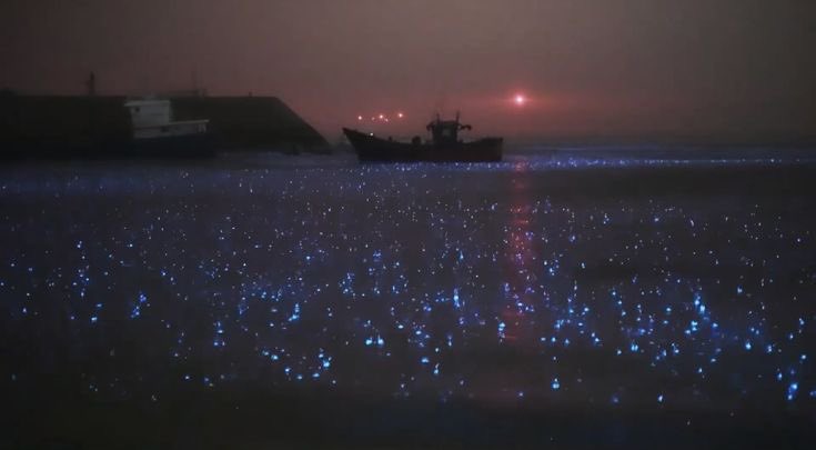 astropics's tweet photo. Seas of stars ✨ https://t.co/JGfcF3fsLN