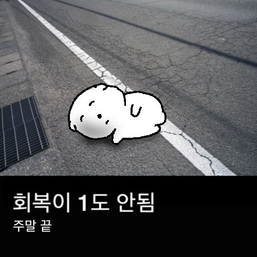 tuna_rollbap's tweet photo. #current_mood https://t.co/E8Yap4MhSd