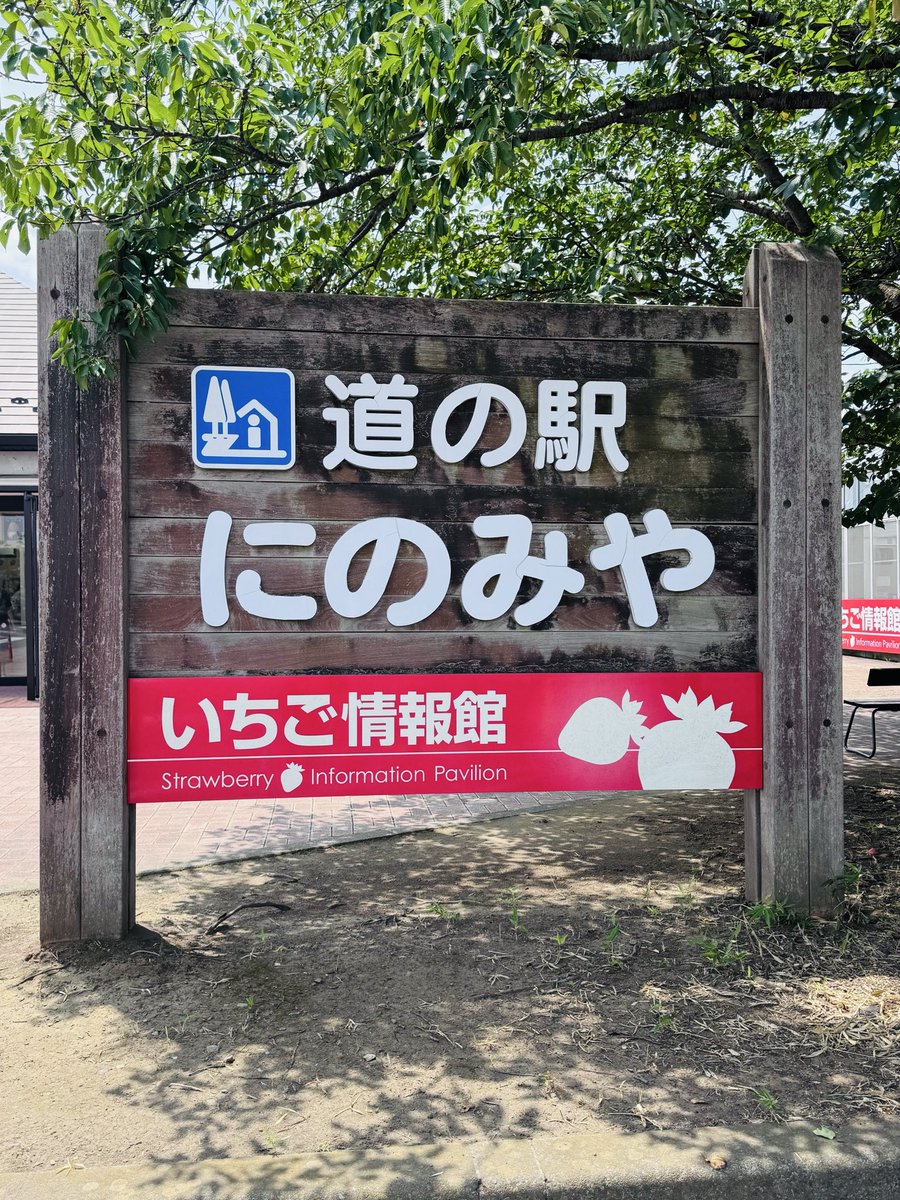 hime4693's tweet photo. R294をひたすら爆走🤭苺と二宮尊徳で有名な二宮でちょっと休憩😊濃厚ないちご🍓ソフトクリーム頂きました✨✨ https://t.co/ThRALzzJLN