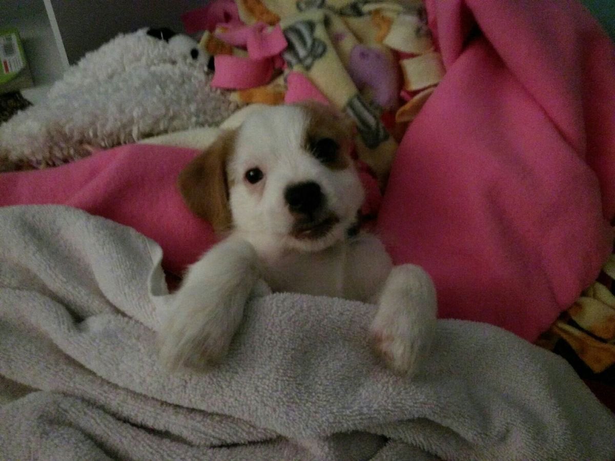 SiliGremlin's tweet photo. All done,,,, all ready for bed now,,, good night,,, https://t.co/yw6jQk2W9i