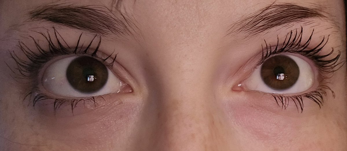 BerriJuniper's tweet photo. Would you let these eyes hypnotize you? https://t.co/o8sK3m6Sdd