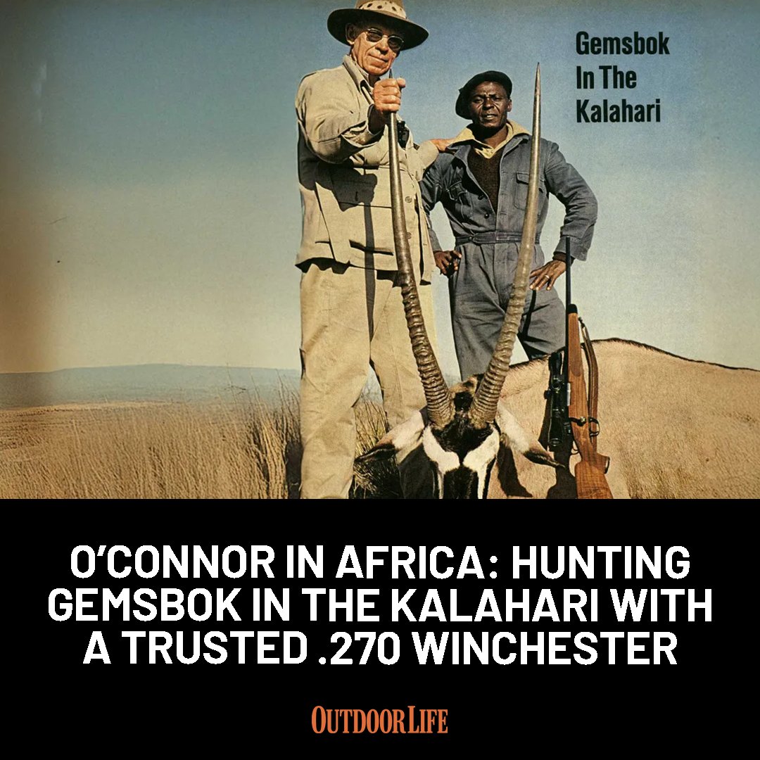 outdoorlife's tweet photo. Follow Jack O’Connor’s Kalahari safari for gemsbok, springbok and field-tested .270 Winchester lessons: https://t.co/wCDC27RZyd https://t.co/1lqKDFPiP6