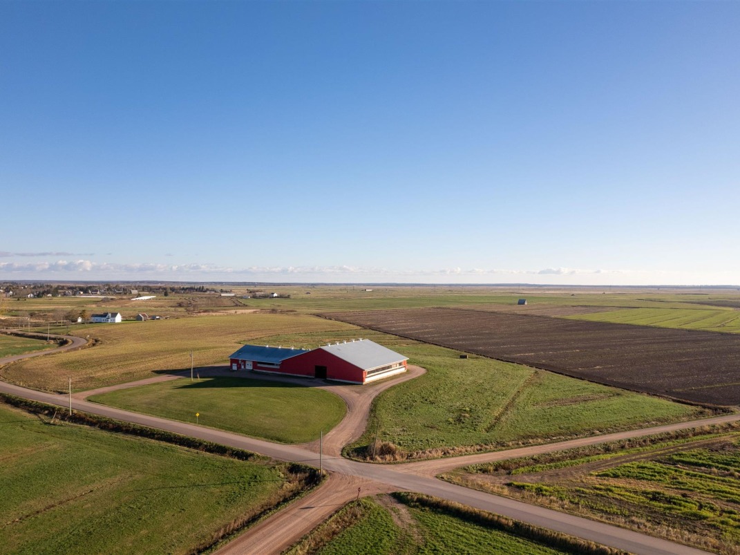 farmmarketercom's tweet photo. *FULLY EQUIPPED* BEEF FARM FOR SALE!
https://t.co/NCQxzNajR6

Farm Type: Beef/cattle
Acreage (Total): 260 
Province: New Brunswick
Agent: Marianna Westerkamp

#Findyourdreamproperty #cdnbeef #cattlefarming #cattle #proudlycanadian #canadianbeef #farm365 #canadarealestate https://t.co/n0nfhH4jRi