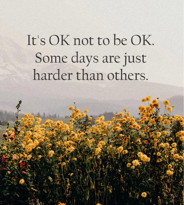 mindfulmaven_'s tweet photo. https://t.co/TeOIpqP953