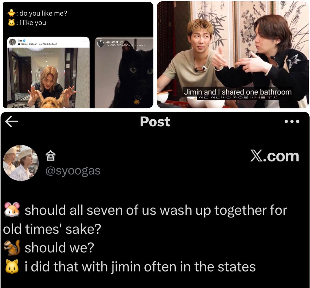 sam tweet media