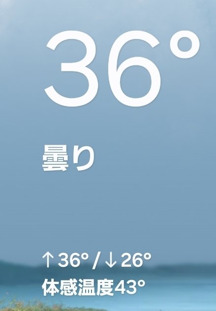 Azuki_0210's tweet photo. 体感温度43°はなに？ https://t.co/0Xbvu42BS7