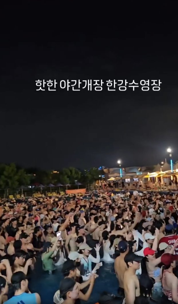 빚갚는미친개 tweet media