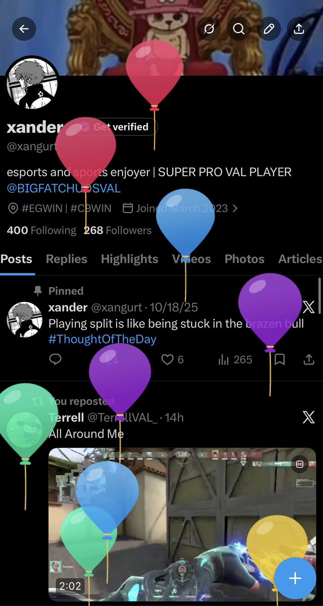 xander tweet media