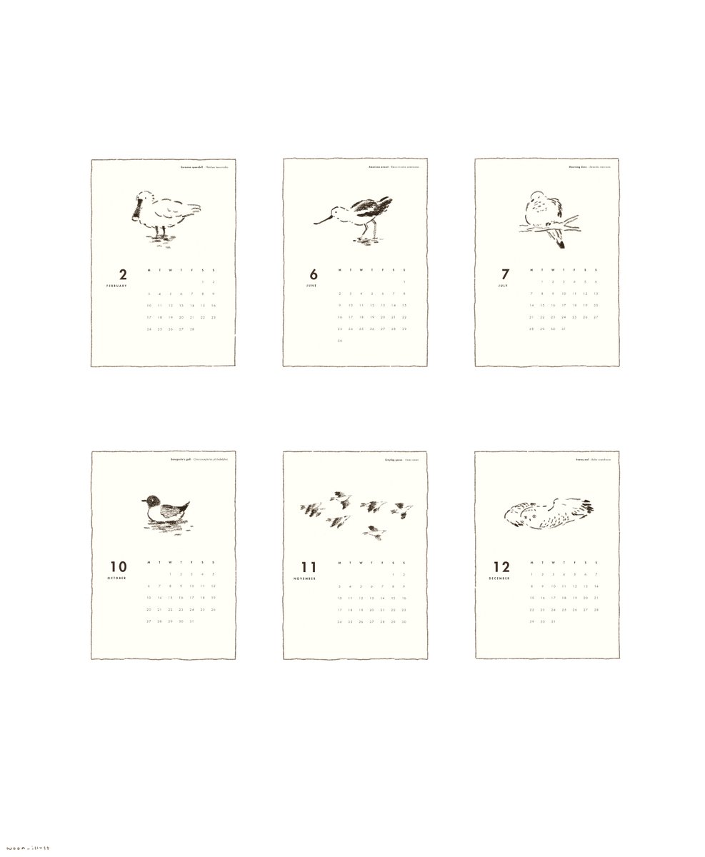 woon_illust's tweet photo. 매년 만들고 있는 수제 캘린더에 등장한 새들을 다시 그려보기 🦅 2025년의 새들 https://t.co/qhQUhq8eDo