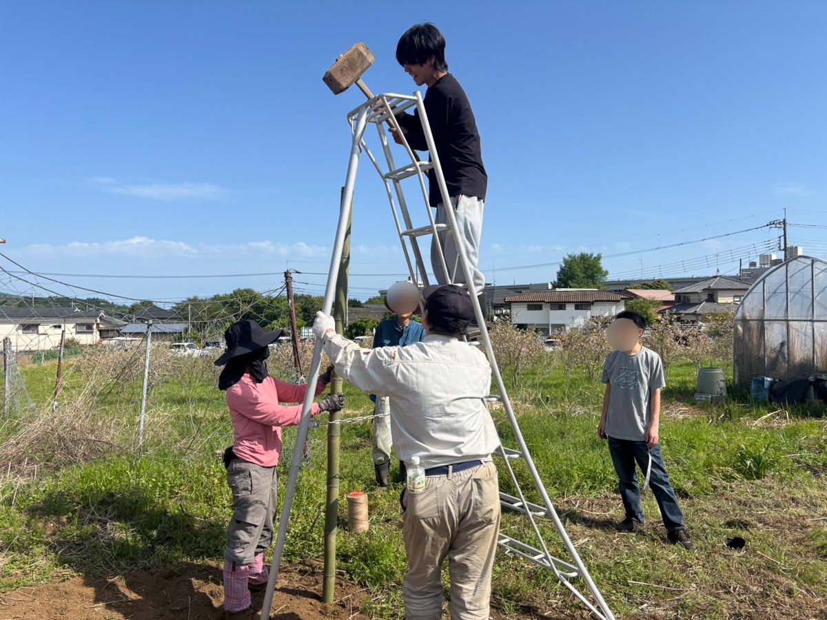 alphaofchildren's tweet photo. 日本人の多くがエンタメにショッピングにW杯に大谷さんにお熱な中。オレは耕作放棄地の再生に取り組んでいる。褒めてほしいわけじゃない。今、日本人がやらなければいけない当たり前のことをしているだけのこと。何度でも言わせて頂く。日本の真の食料自給率はたったの約9%。そろそろ喰えなくなる。少なくとも本物の食材は無くなってしまいます。

クラファン挑戦中↓

https://t.co/66HewrlePA

人生をかけて。一次産業を軸とした日本人の老若男女分け隔てなく参画できるコミュニティーを全国に拡大して参ります。笑いたい方はどーぞ笑ってください。バカにしたい方はどーぞバカにしてください。でも見ててください。必ずや成し遂げます。賛同してくださる方がいましたらどうかお力を貸してください。