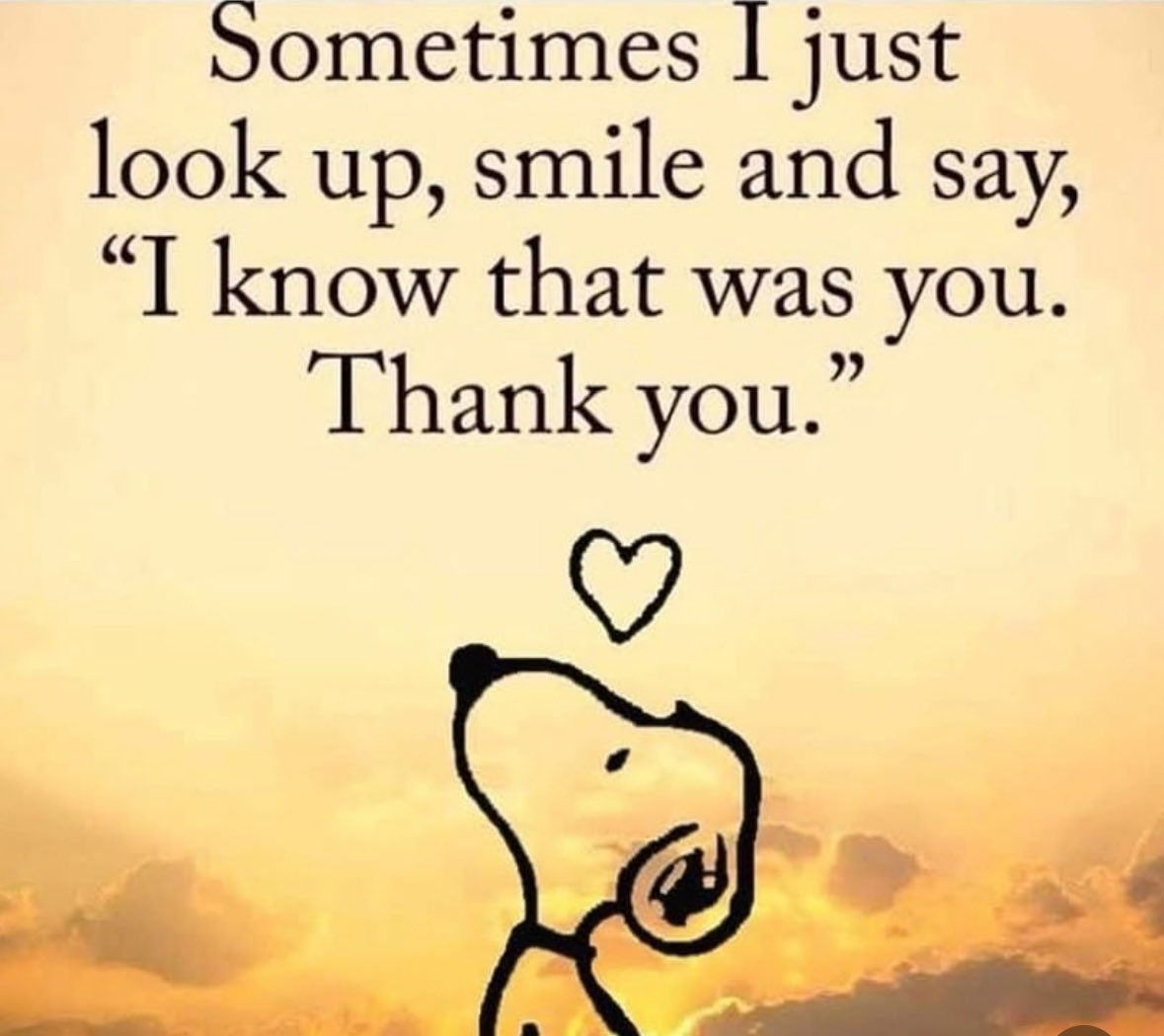 mindfulheal's tweet photo. https://t.co/03GKJNo38H
