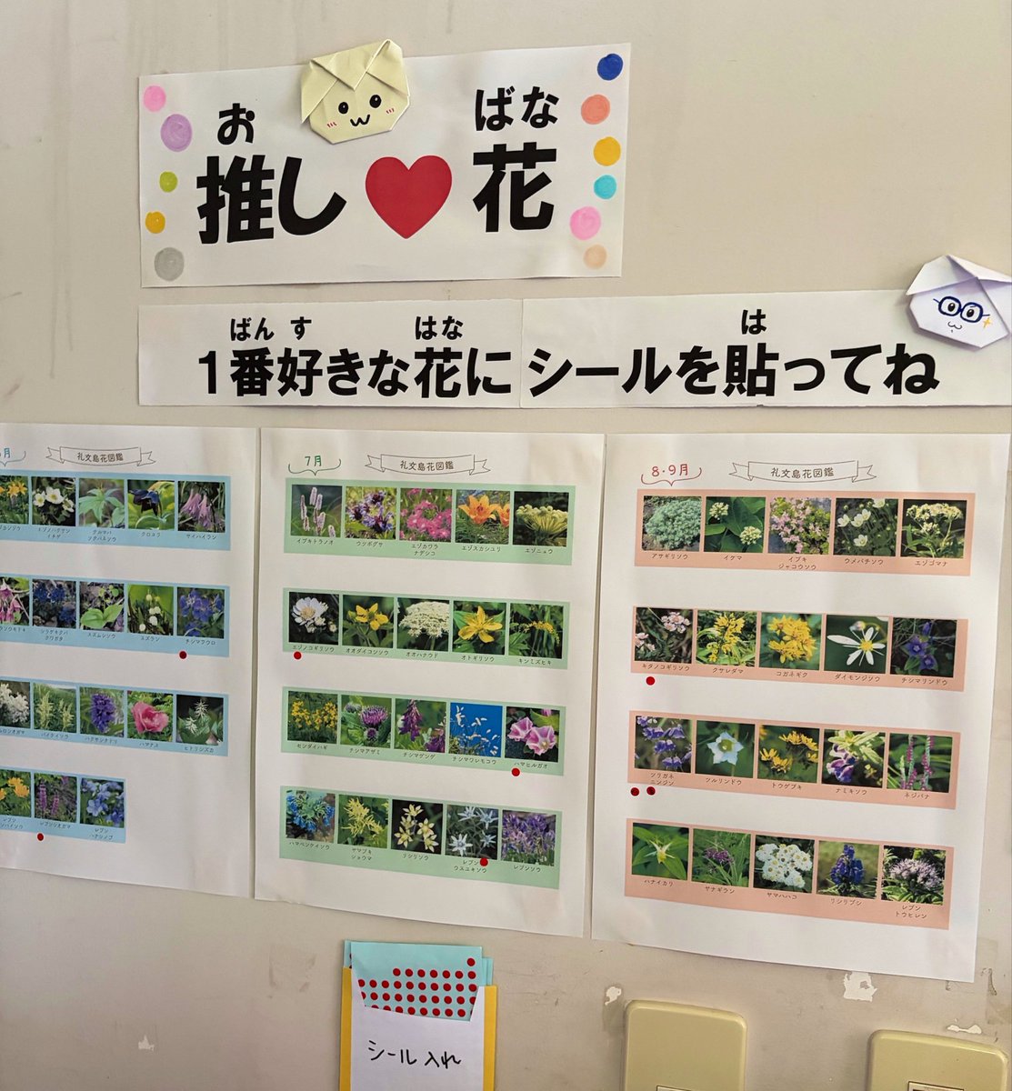 minshukukaido's tweet photo. バイトさんがつくってくれた、
推し花シールアンケート表と、
どこから来ました表を
昨日から貼り出しましたー♪
ご宿泊される皆様、ぜひペタッと！
よろしくお願いします😊

今年はバイトさんが楽しんで、
宿を盛り上げてくれてて、
私もハッピーです♪

#礼文島 https://t.co/zkF1qAPJqh