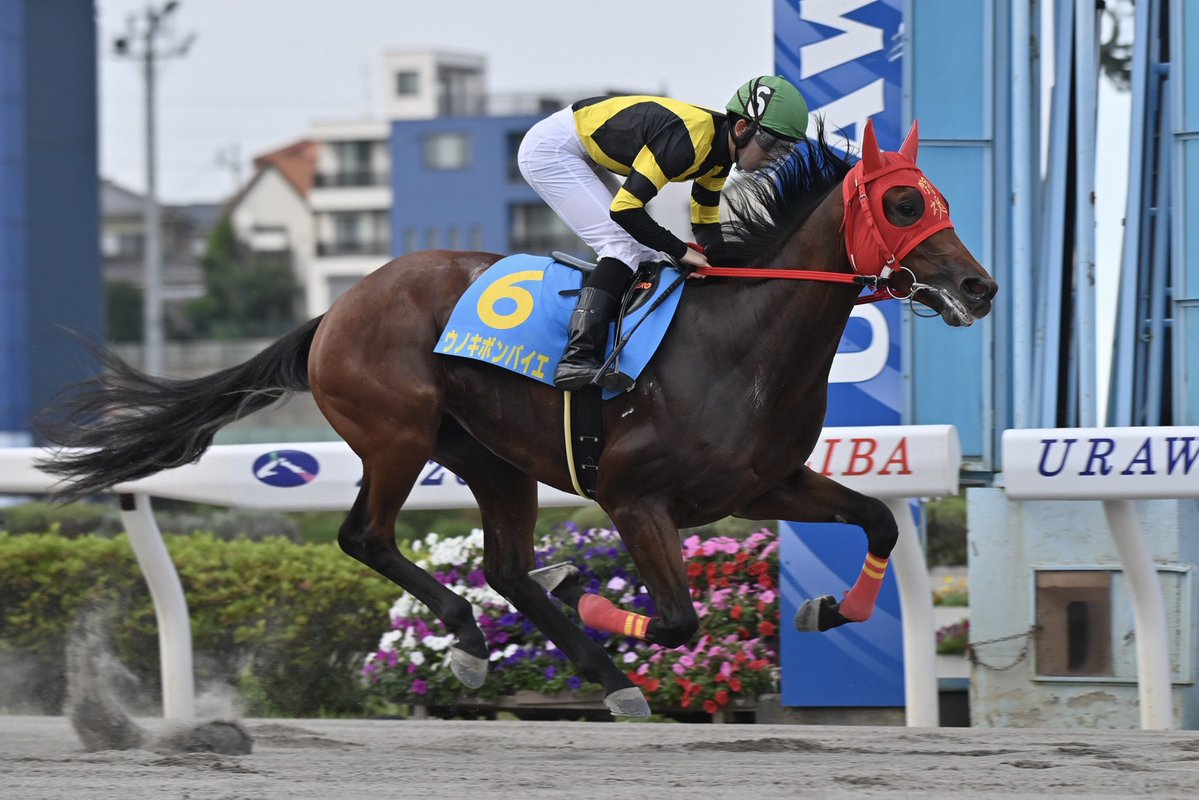 浦和4Rで行われたドリームチャレンジ #2歳新馬 は､4コーナーで先頭に