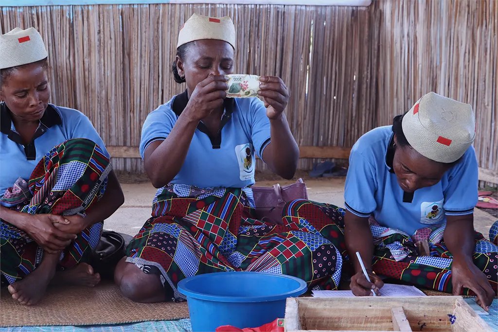 FID_Madagascar's tweet photo. VOAMAMI : Quand l���épargne ouvre la voie vers l’autonomie

Auparavant, de nombreux ménages vulnérables souhaitaient démarrer ou développer des activités génératrices de revenus, mais ne disposaient du capital nécessaire ... 
👉lire la suite : https://t.co/mgSQEfvVzM https://t.co/C7n6Z0NOwp