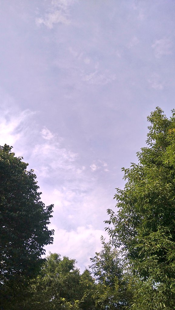 Radio_Ethiopia2's tweet photo. 微かに蝉の鳴き声が聴こえるけど、まだまだ。🫠
#イマソラ #蝉
アレックス・チルトンの“ダサさの美学”は、ソロ転向後。
#AlexChilton
#BigStar #BoxTops https://t.co/GJRBeTLbZR