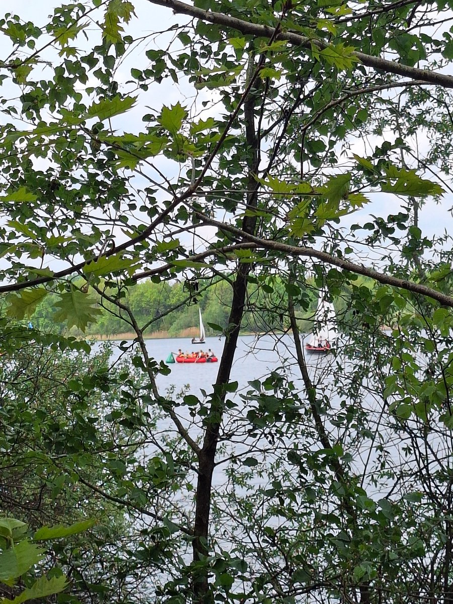 Aesthetic1333's tweet photo. .

Perspective is everything.

Finding calm in the layers of green and the distant glide of a sail.

Today, I’m choosing to be still and let the world’s beauty do the talking.

#PeacefulMindset #HiddenViews #SlowLiving

. https://t.co/7LMO07HObw