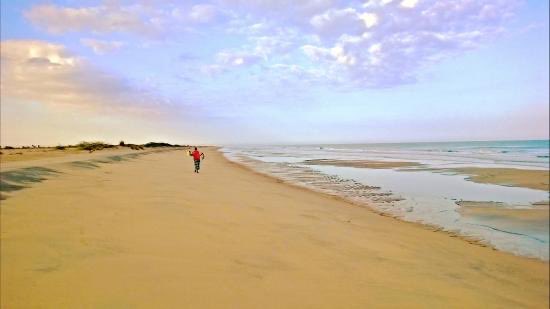 Somaliland_Gov's tweet photo. Somaliland State of Somalia 🇸🇴 is a breathtaking state with majestic peaks that go above the clouds and pristine beaches that hold more Roman lost gold than fort Knox. 

All these Majestic lands belongs to people who call themselves Somalis. 

Every inch of land is owned and claimed by a Somali who can trace he or she family to same area for over 3,000 years. 

There’s no room for a mistake that we cannot recover from for centuries to come. 

There’s no room for anyone who has no history in that land unless you are from its east, it’s south, it’s north’s and its west of Somaliland state. 

“The Land of XawaAllah.”