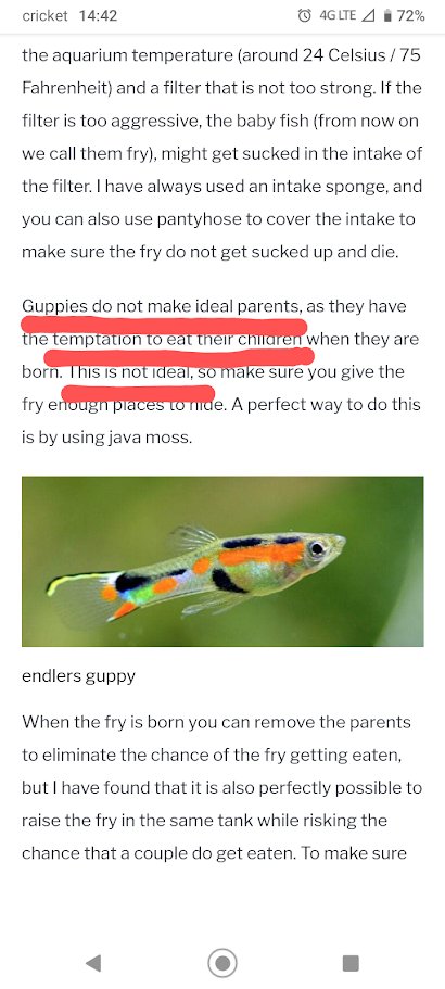 One Spazzy Cuddlefish tweet media