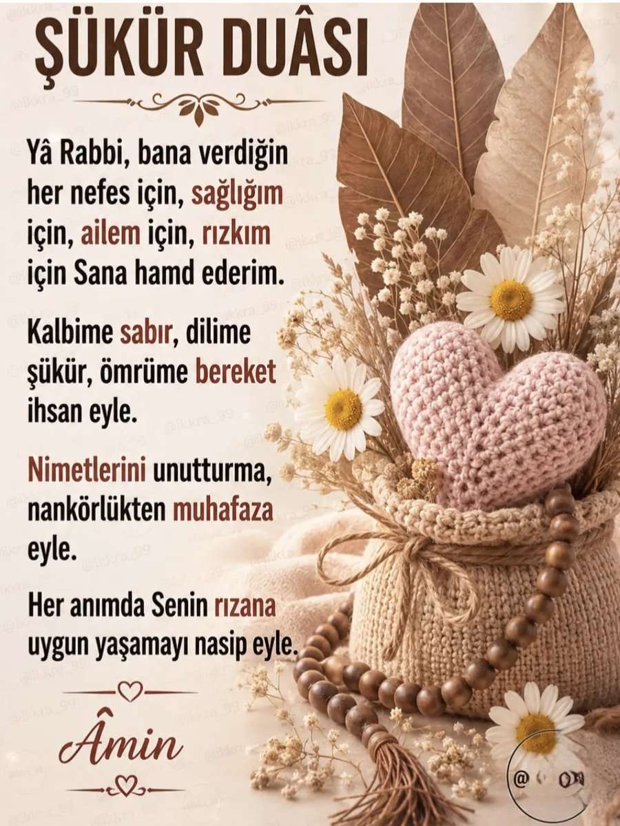 meral tok tweet media
