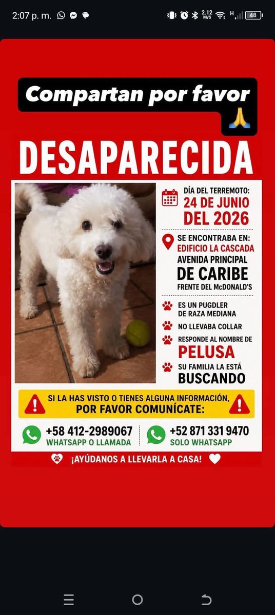 PerroUsuario's tweet photo. Se busca en La Guaira https://t.co/eLdy80Yy58
