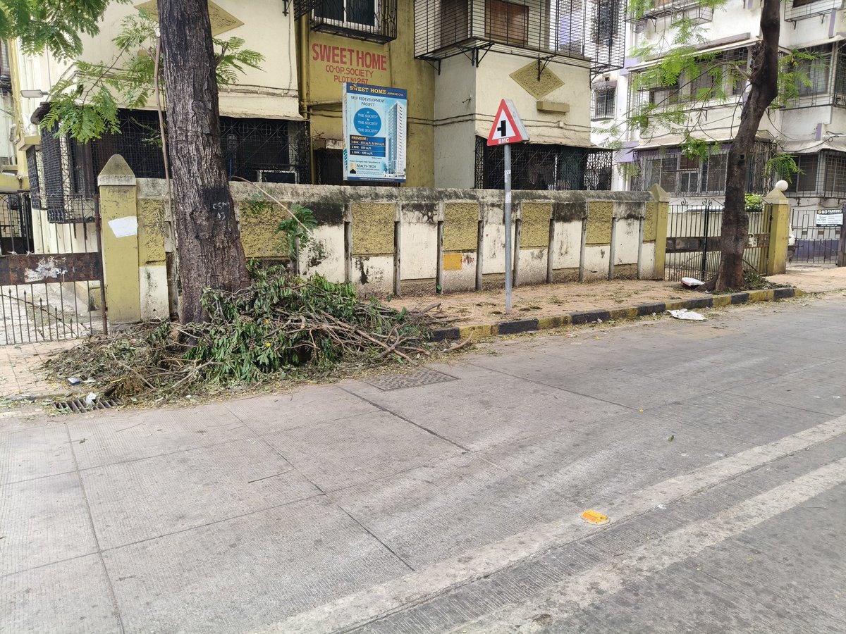 kiransangani's tweet photo. @mybmcWardGN @mybmc After the heavy rains got over last week, lot of Garbage of broken tree branches and leaves everywhere on CSM Rd (Tendulkar Hall lane) and Varadraj Aadye Rd, Matunga-W. Request to remove it at earliest to avoid other garbage being added leading to mosquitoes https://t.co/A8DNs5kAWY