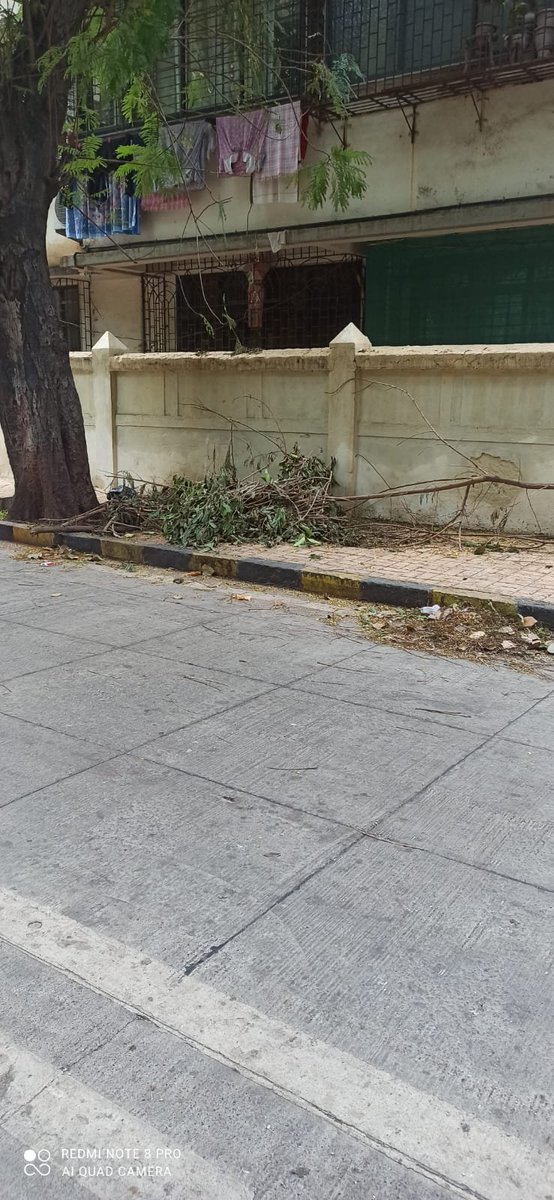 kiransangani's tweet photo. @mybmcWardGN @mybmc After the heavy rains got over last week, lot of Garbage of broken tree branches and leaves everywhere on CSM Rd (Tendulkar Hall lane) and Varadraj Aadye Rd, Matunga-W. Request to remove it at earliest to avoid other garbage being added leading to mosquitoes https://t.co/A8DNs5kAWY