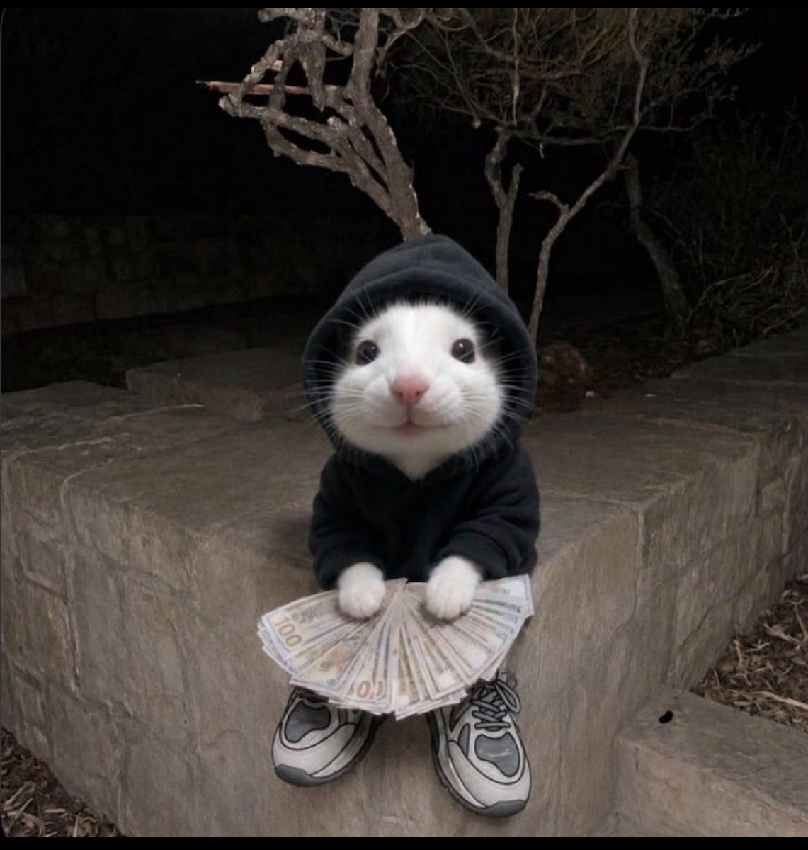 Vixious9's tweet photo. @obeyguy WgoaX4m8wpejSrWEaJh6L3g6CY8V4C89wMTTawrpump
$hoodrat https://t.co/AwyGqowm9r