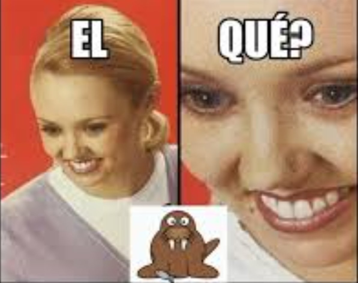 acsicnarfibed's tweet photo. Dijo qué? Son toballas? 
#VolveriasConTuEx2 https://t.co/AuHrRUDyTt